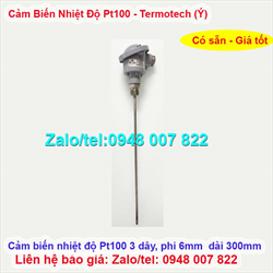 Cảm biến nhiệt độ Pt100 phi 6 dài 300mm Termotech